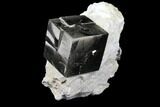 Shiny, Natural Pyrite Cube In Rock - Navajun, Spain #131102-1